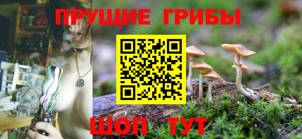 Галлюциногенные грибы Cubensis  Вход с VPN  где купить   Галлюциногенные грибы Psilocybine cubensis  Моздок 